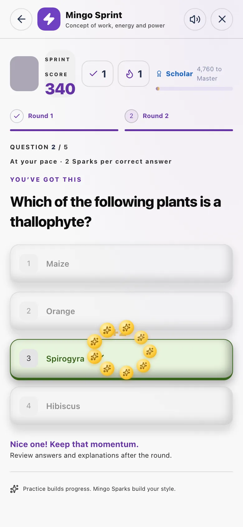 A right answer turns green straight away.